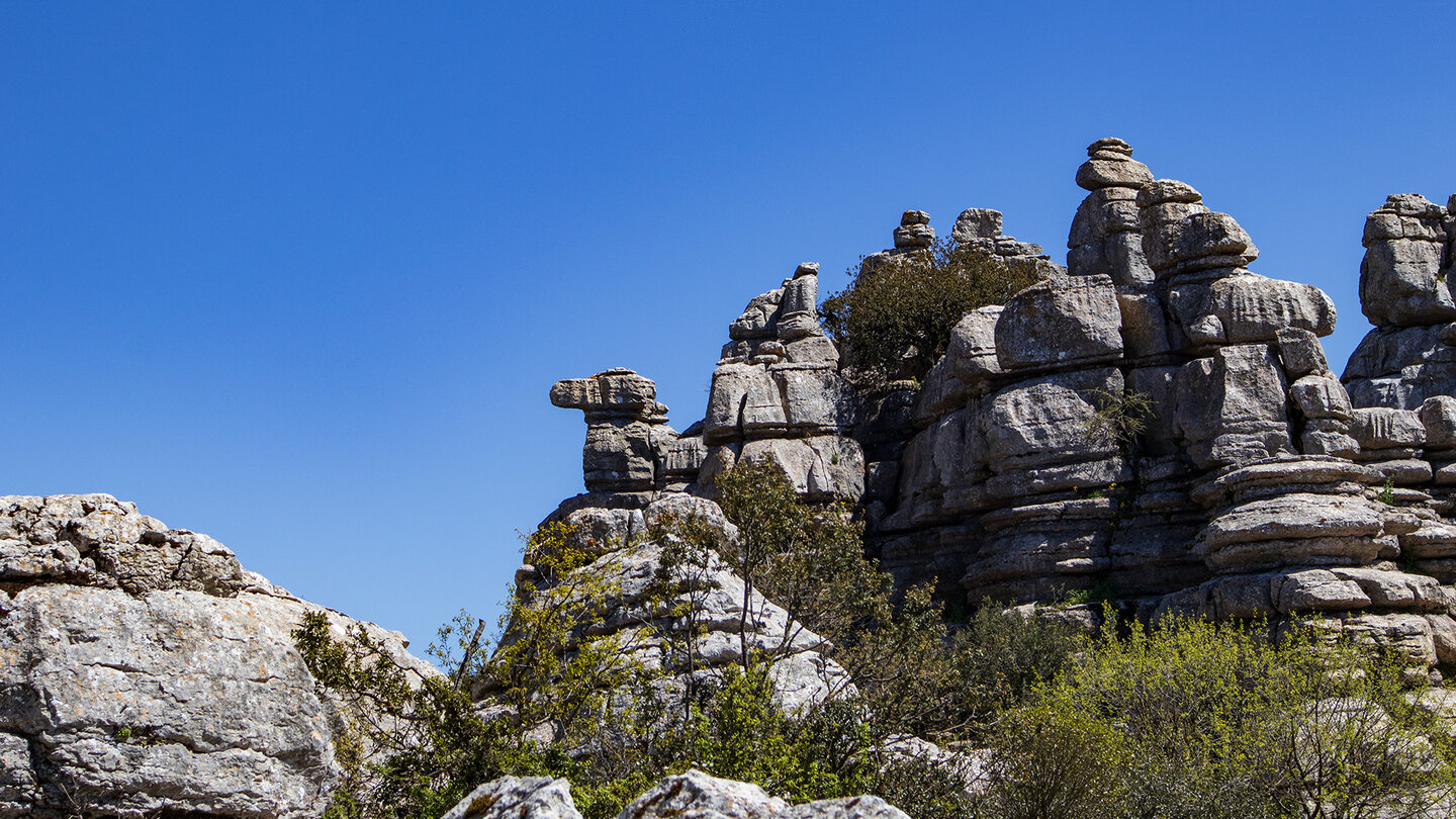 Vogelfigur im El Torcal de Antequera Vogelfigur im El Torcal de Antequera
