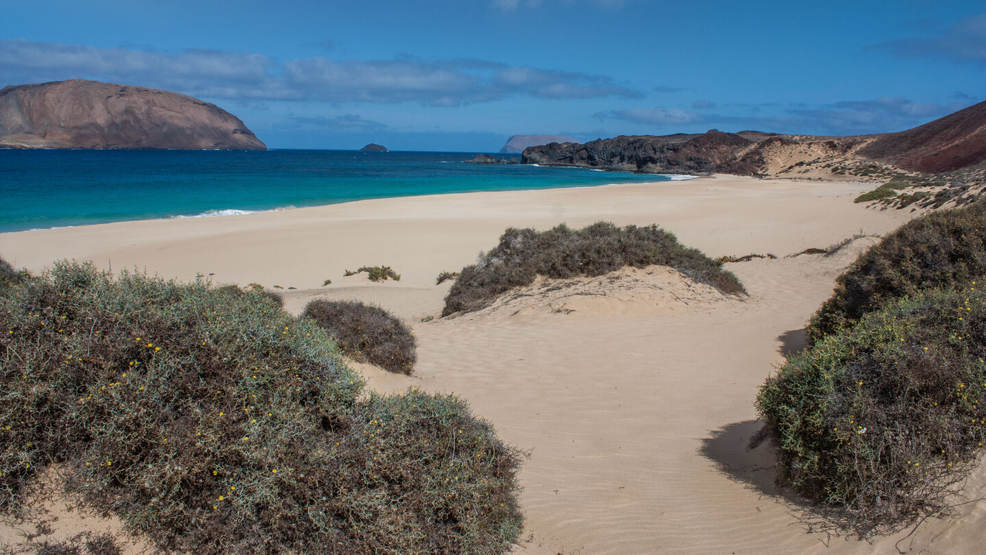 Sanddünen hinter der Playa de la Concha