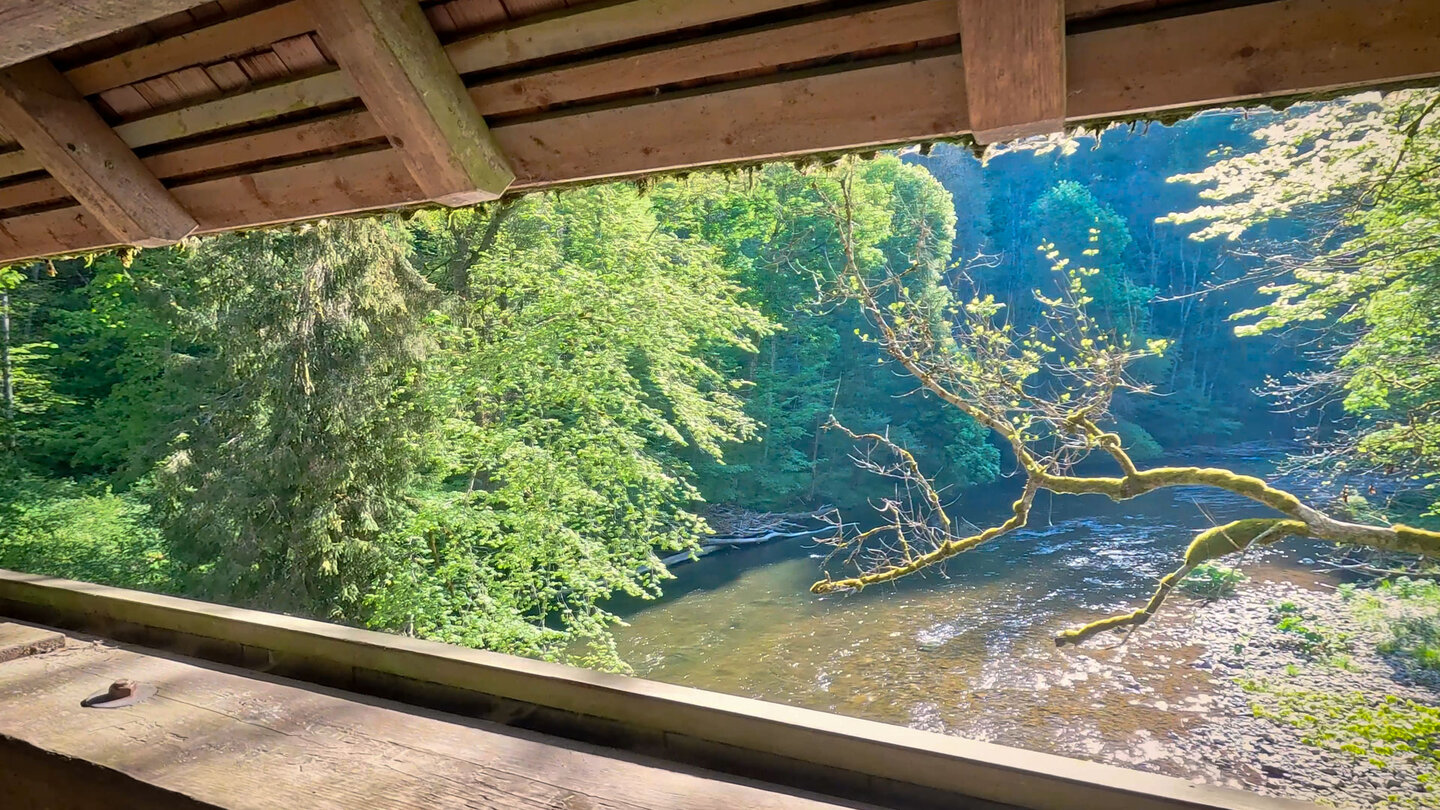 Blick vom Kanadiersteg auf die Wutach