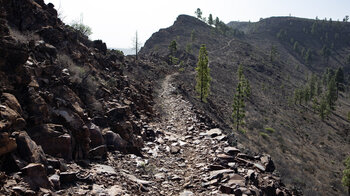 Wanderroute vom Montaña de Tauro zum Barranco de Tauro