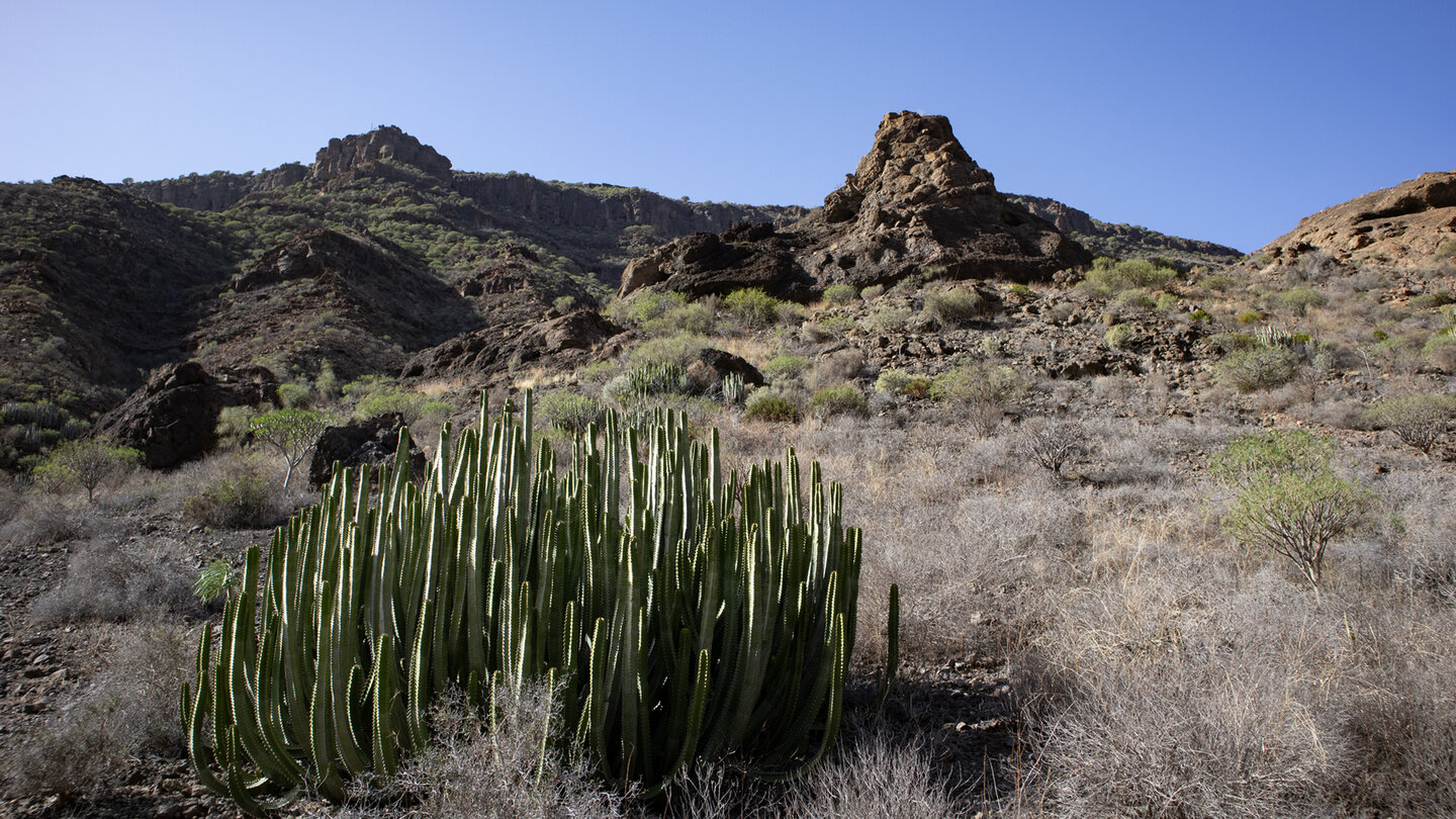 Felsformationen am Barranco de Tauro