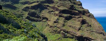 mit Büschen bewachsene Hänge am Barranco de los Hombres auf La Palma