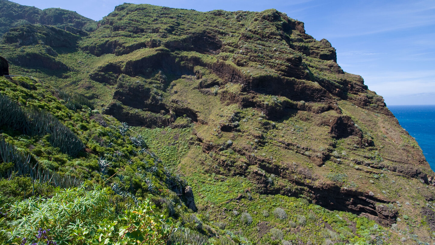 mit Büschen bewachsene Hänge am Barranco de los Hombres auf La Palma