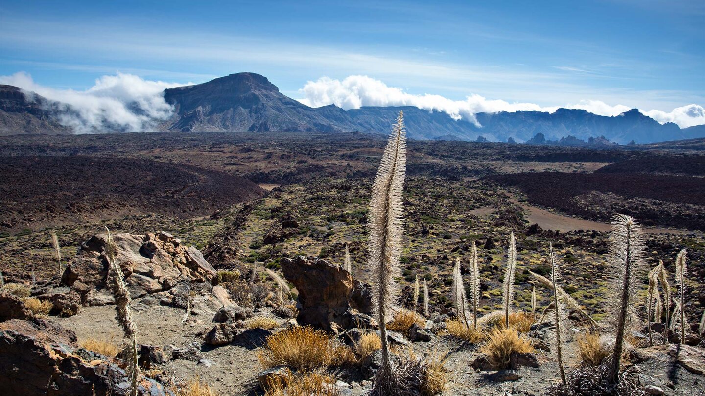 Ausblick über die Caldera und auf den Guajara vom Wanderweg 39