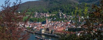 Heidelberg-Panorama Merian-Stich