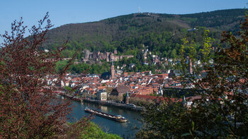 Heidelberg-Panorama Merian-Stich