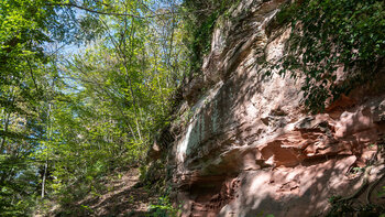 Burgfels der Falkenburg bei Wilgartswiesen