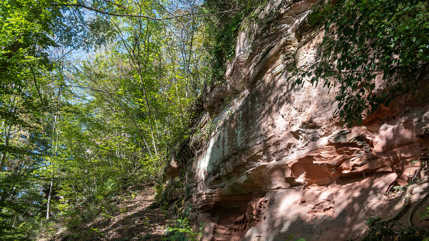 Wanderpfad am Burgfels der Falkenburg bei Wilgartswiesen Burgfels der Falkenburg bei Wilgartswiesen