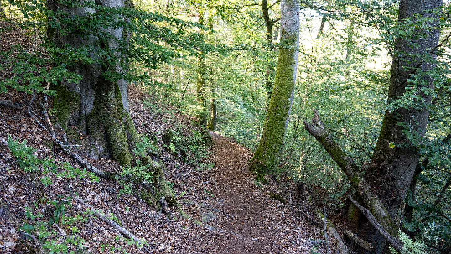 Wanderpfad entlang der Wilgartswieser Burgen-Tour Wanderpfad entlang der Wilgartswieser Burgen-Tour