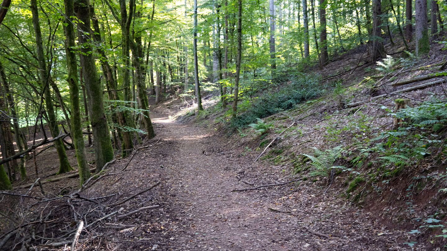 Wanderweg zur Falkenburg bei Wilgartswiesen Wanderweg zur Falkenburg bei Wilgartswiesen