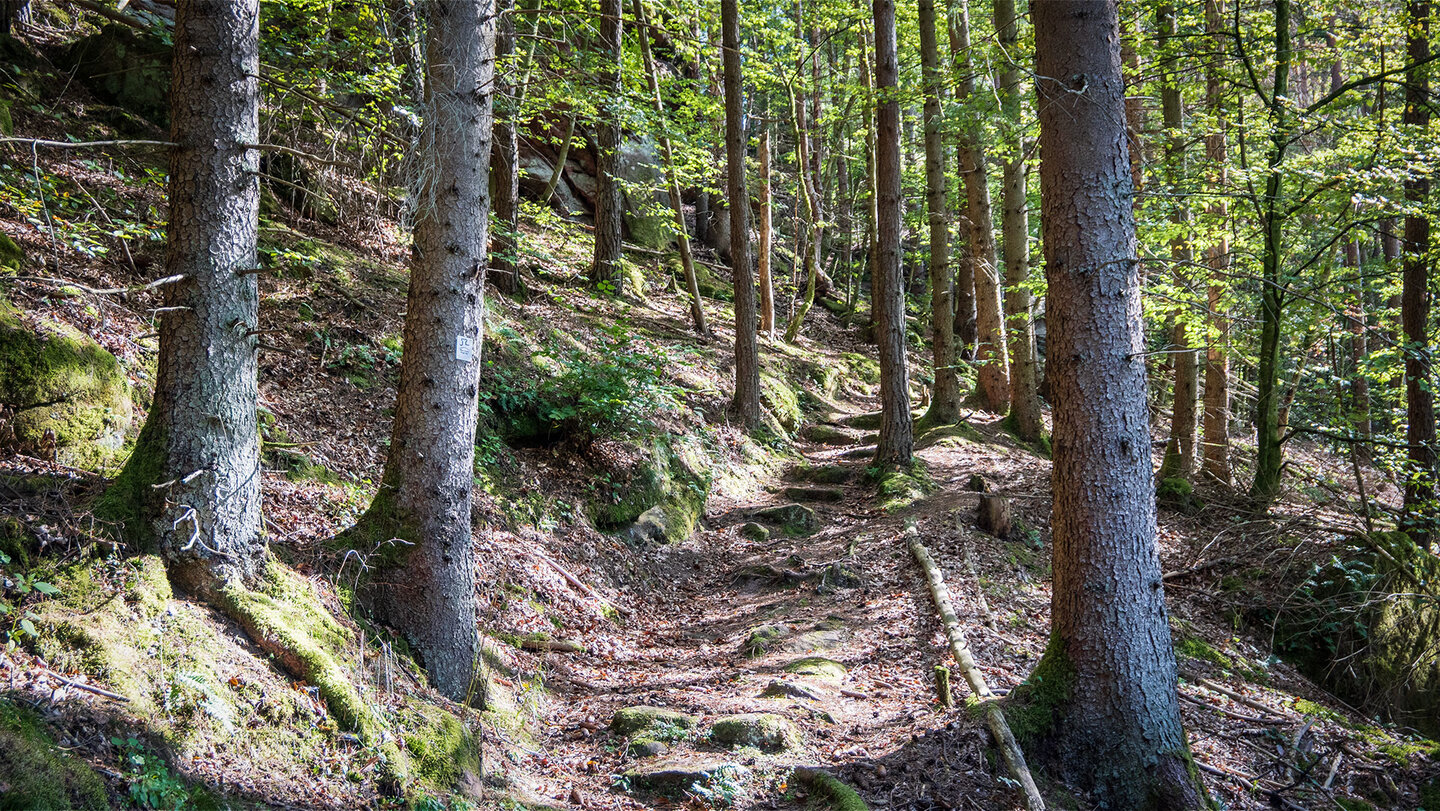 idyllischer Wanderpfad zur Ruine der Wilgartaburg Wanderpfad zur Ruine der Wilgartaburg