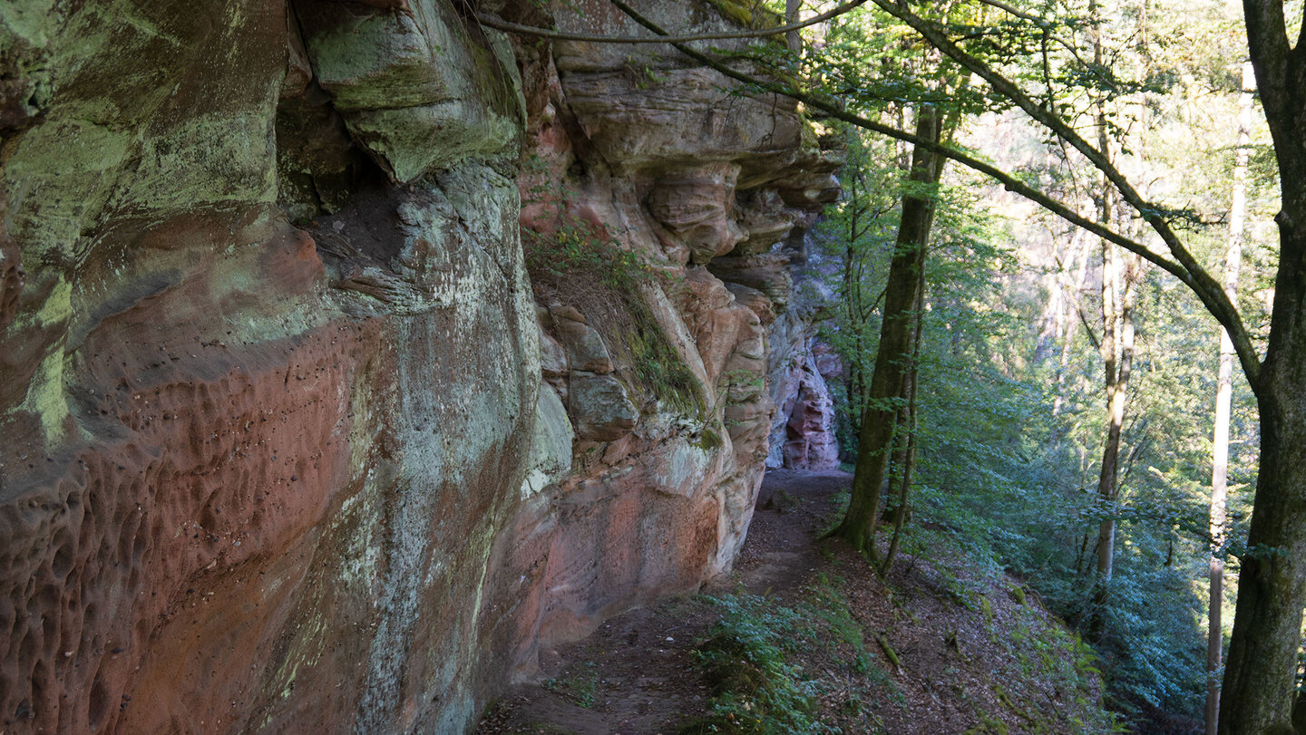 Wanderweg entlang steiler Buntsandsteinwände zur Wilgartaburg Wanderweg entlang Buntsandsteinwände zur Wilgartaburg