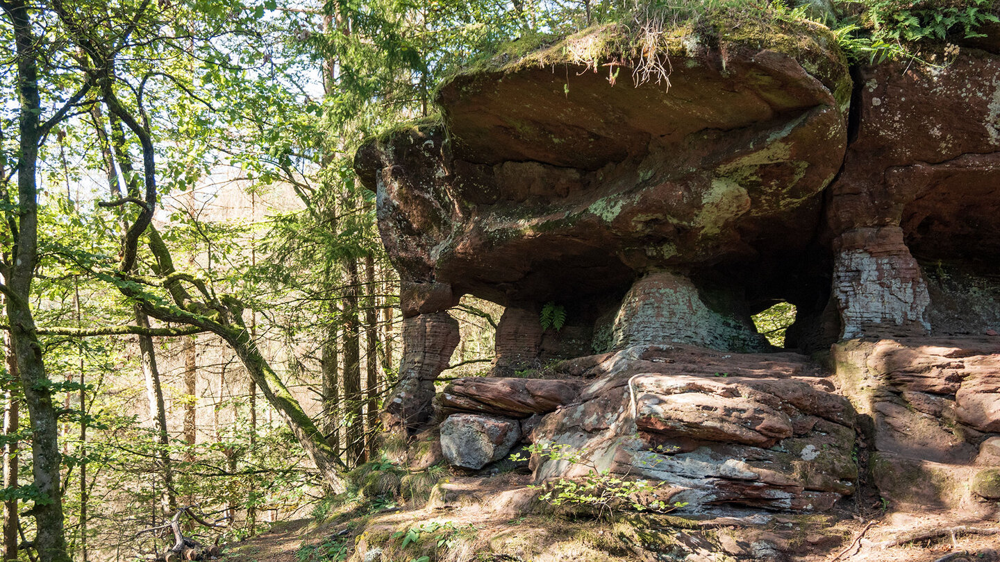 erodierte Buntsandsteinfelsen säumen den Wanderweg zur Wilgartaburg erodierte Buntsandsteinfelsen säumen den Weg zur Wilgartaburg