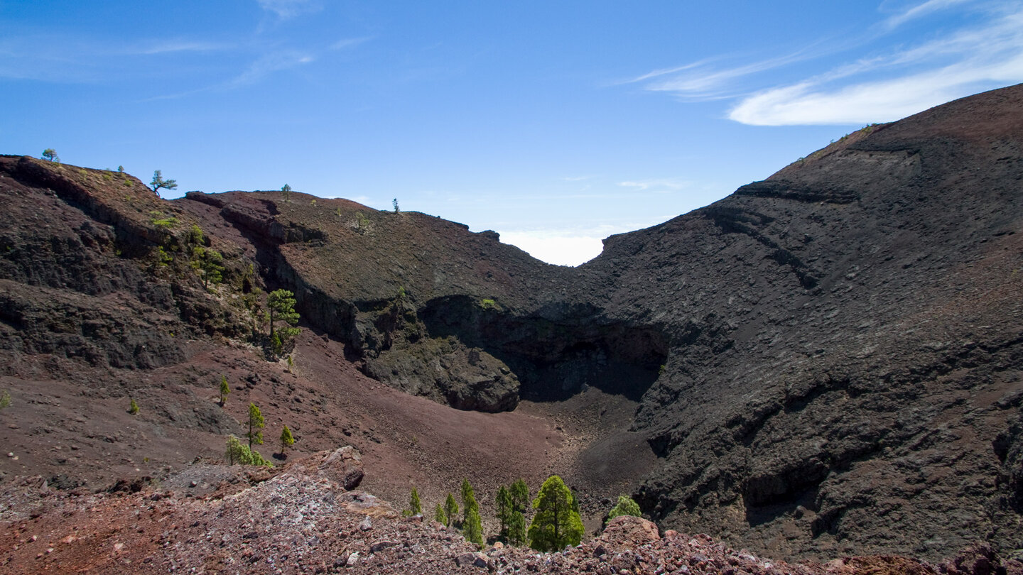 einzelne Kiefern im Krater des Vulkan Martín