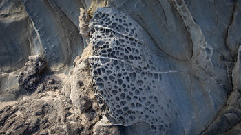 Gestein in der Küstenzone des Naturparks del Estrecho