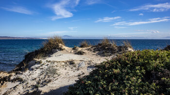 Dünenlandschaft an Punta Macotilla mit dem Berg Jbel Musa in Marokko