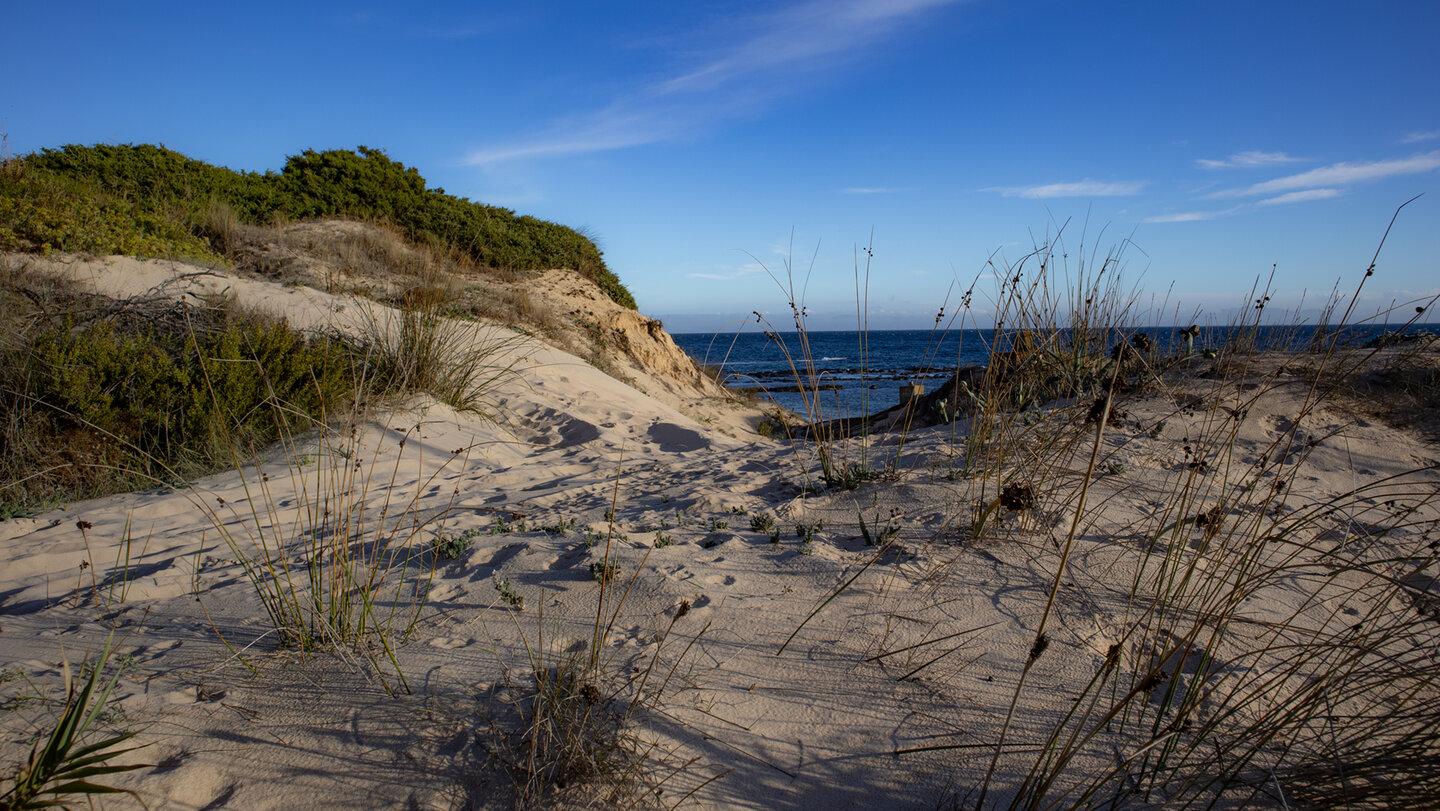 Dünenlandschaft bei Las Palomas