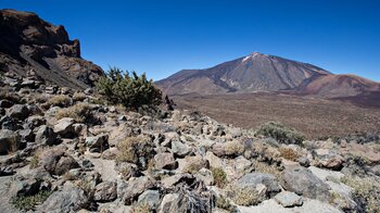 Ausblick auf den Teide bei der Aufwanderung zum Guajara