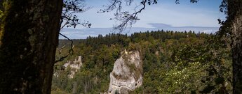 Felsformation im Donautal mit sichtbaren Mauerresten der Ruine Hausen oben auf dem Fels.