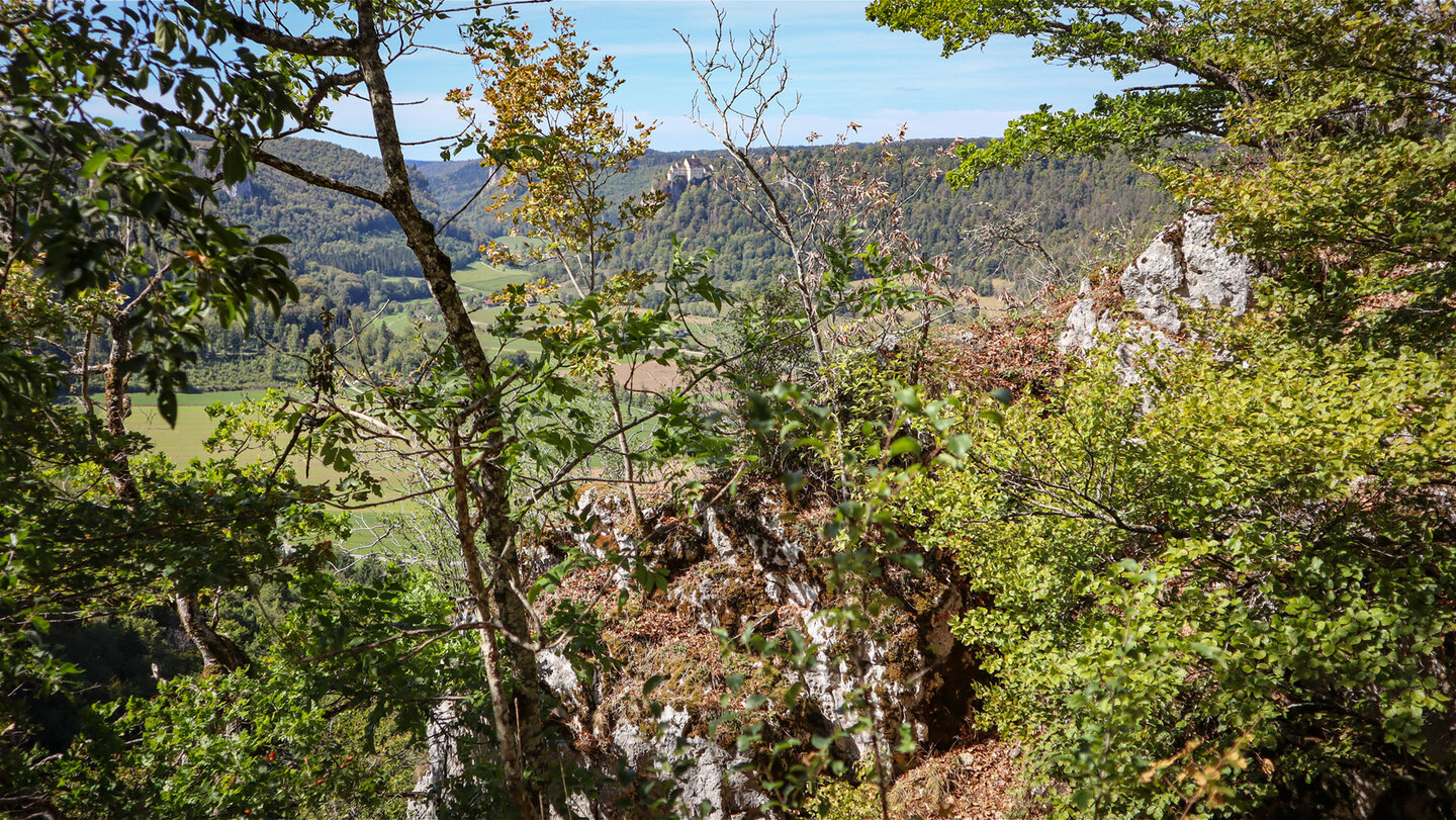 Blick vom Burgfelsen der Ruine Wagenburg durch Äste auf das Donautal mit Schloss Werenwag