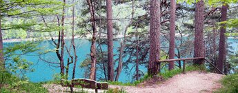 Panorama über den Alpsee vom Pindarplatz