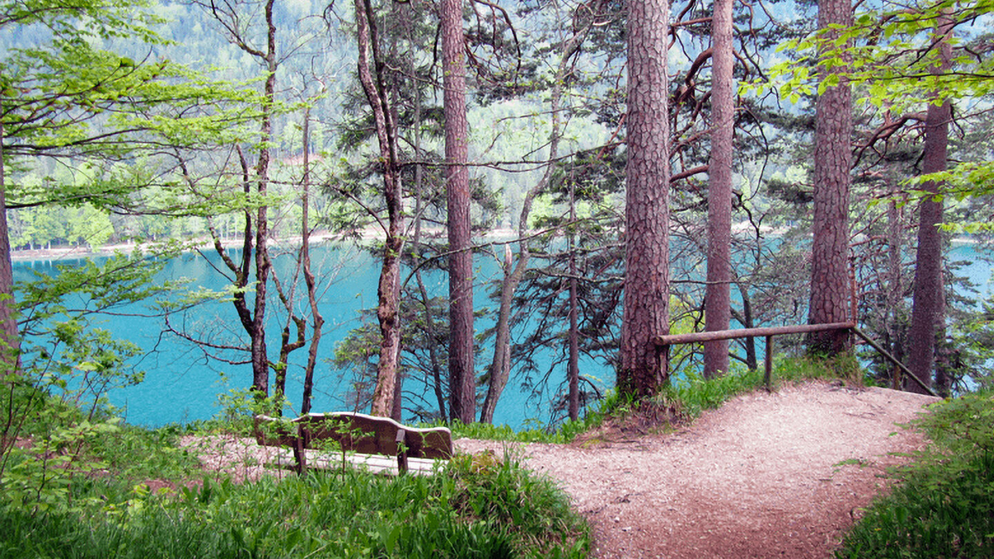 Panorama über den Alpsee vom Pindarplatz Panorama über den Alpsee vom Pindarplatz
