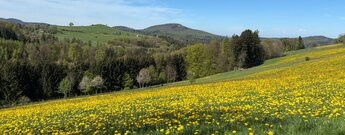 Wiesenlandschaften - Hohe Rhön