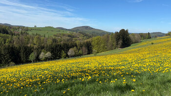 Wiesenlandschaften - Hohe Rhön