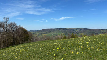 Frühlingswiese Hohe Rhön