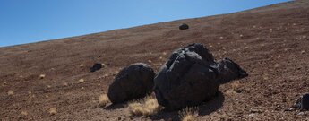 Huevos del Teide am Montaña Blanca auf Teneriffa