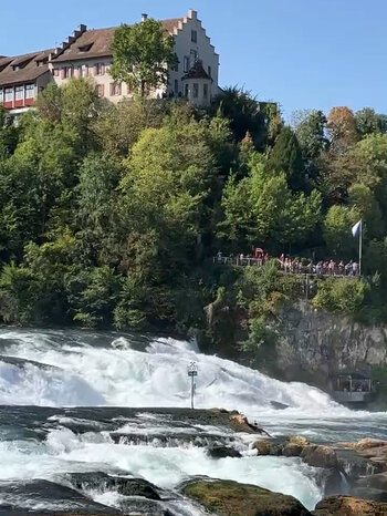 Blick über den Rheinfall von Schaffhausen