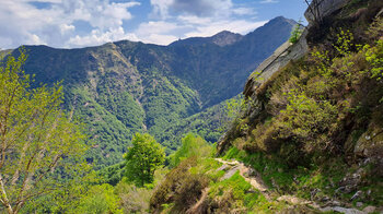 Aussicht auf den Monte Tamaro in den Luganer Voralpen