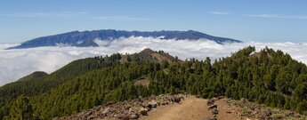 Blick von der Hochebene der Cumbre Vieja zur Gipfelkette der Caldera de Taburiente