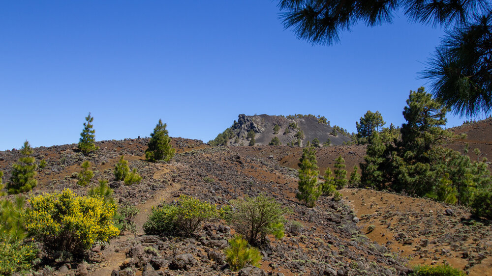 Blick über den Höhenrücken der Cumbre Vieja zum Pico Nambroque Blick über den Höhenrücken der Cumbre Vieja zum Pico Nambroque