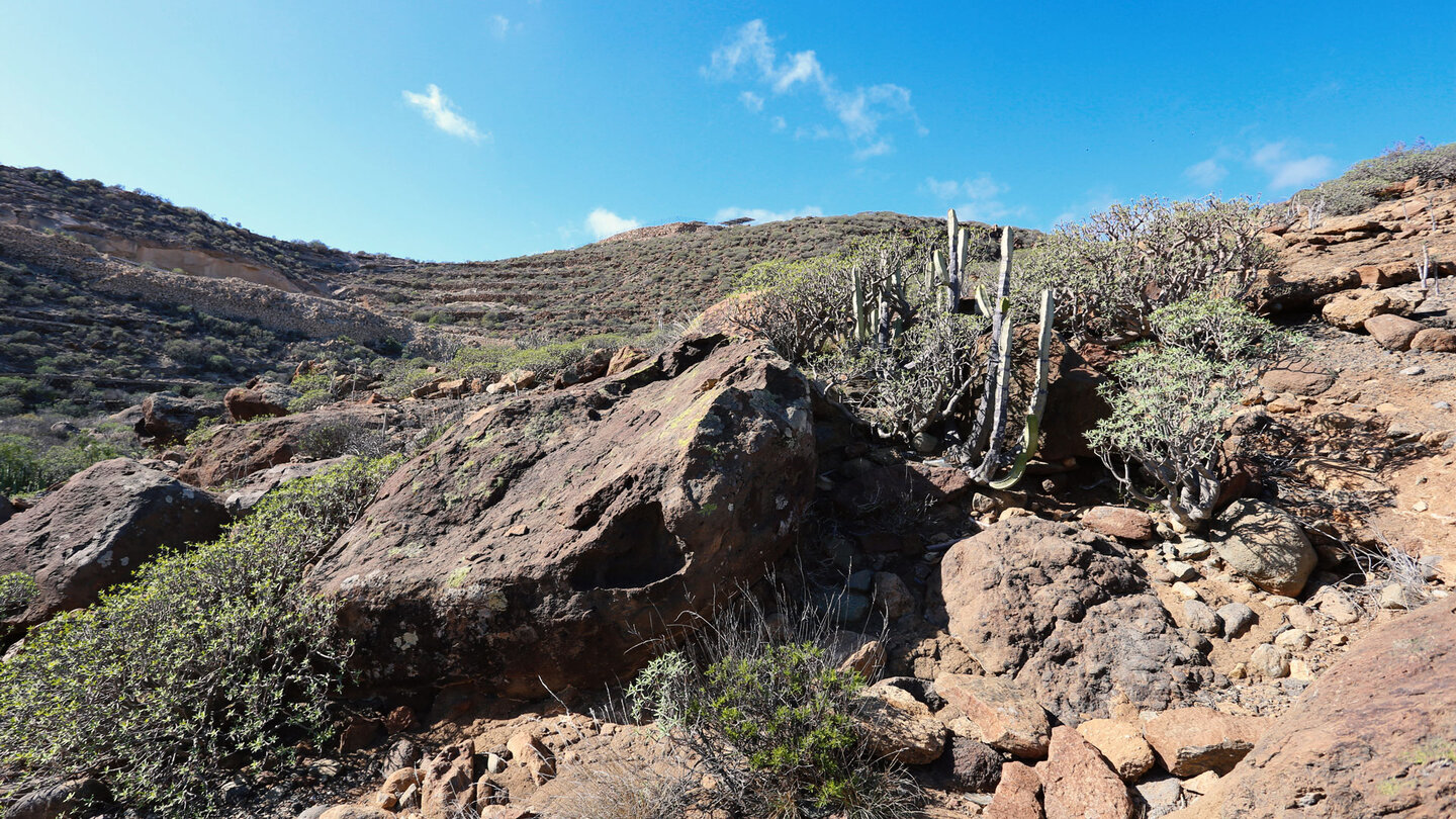 Wanderweg durch Sukkulentenbusch-Vegetation in der Tajo-Schlucht