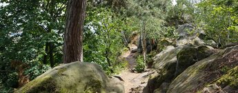 der Teufelsmauer-Kammweg