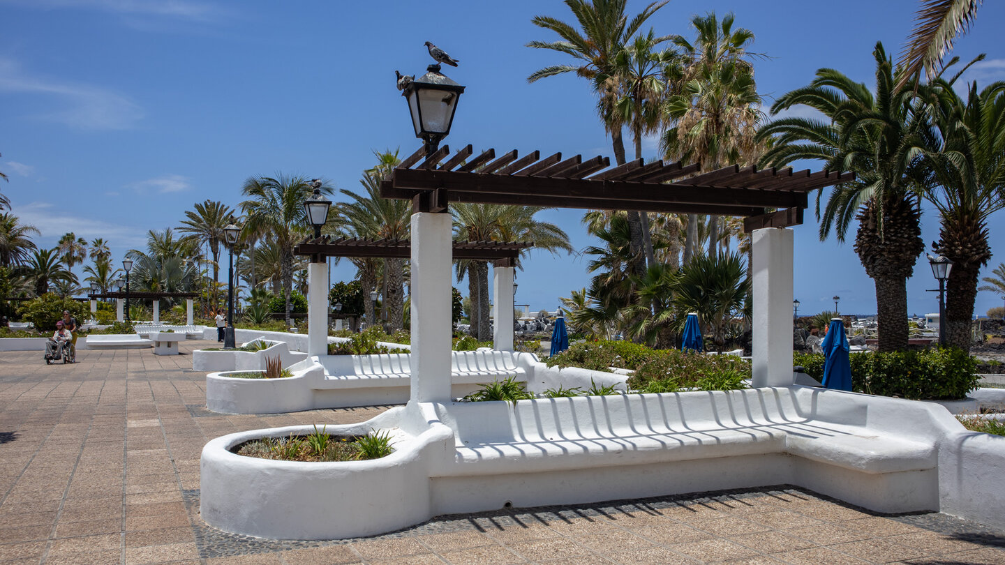 Sitzbänke entlang der Strandpromenade an der Avenida de Cristobal Colón in Puerto de la Cruz auf Teneriffa Sitzbänke entlang der Strandpromenade an der Avenida de Cristobal Colón in Puerto de la Cruz