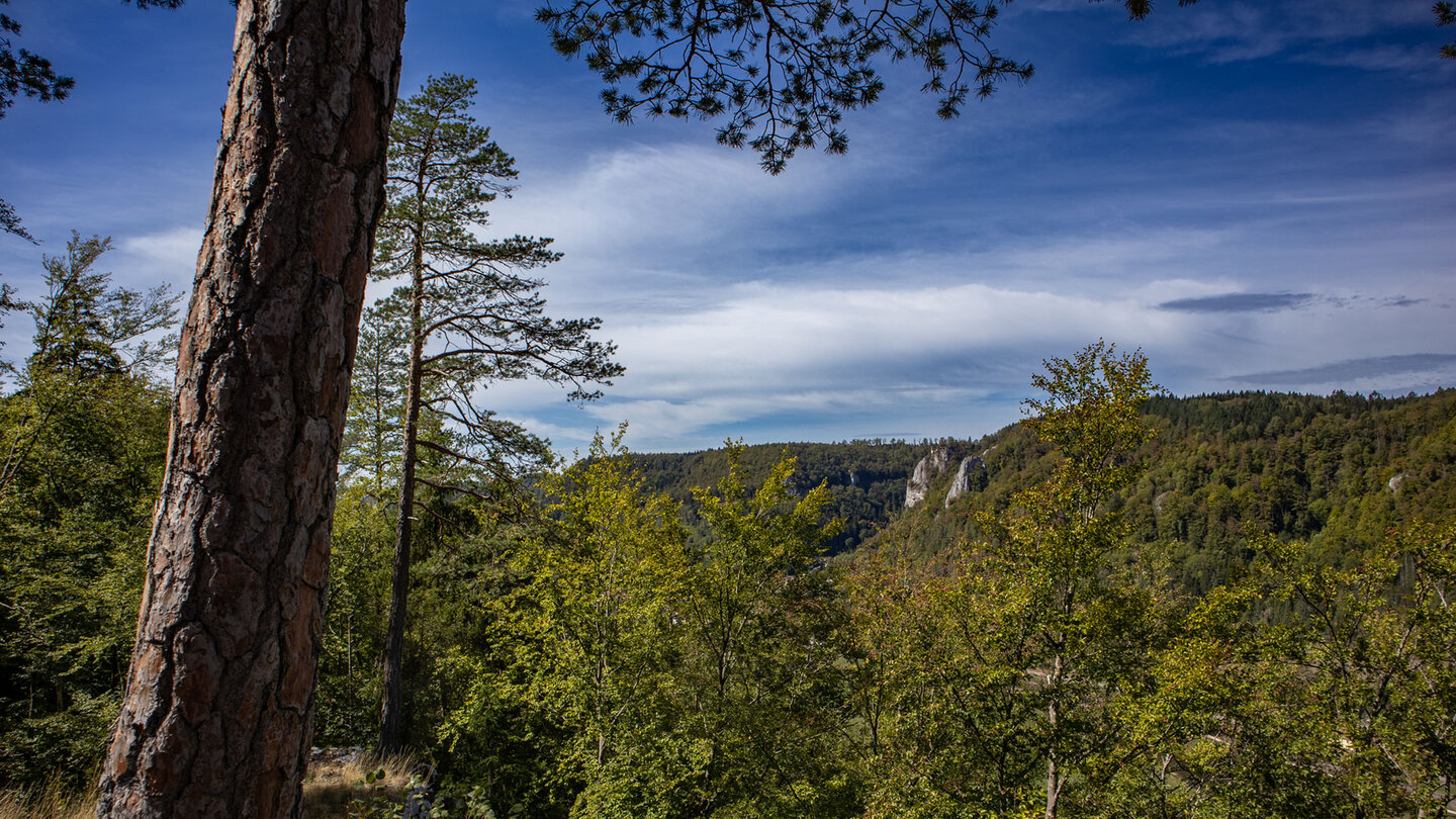 Aussicht vom Birkensteigfels auf zerklüftete Kalkfelsen zwischen grünen Wäldern.