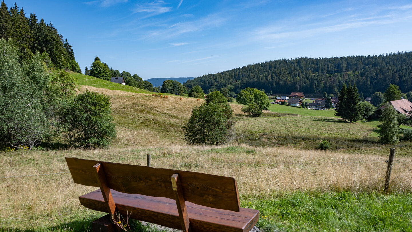 Ausblick über Wiesen und Weideflächen vom Wanderweg