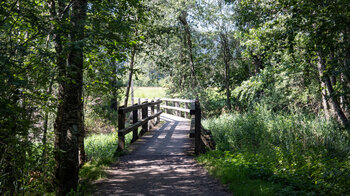 Holzbrücke am Seeweg um den Schluchsee