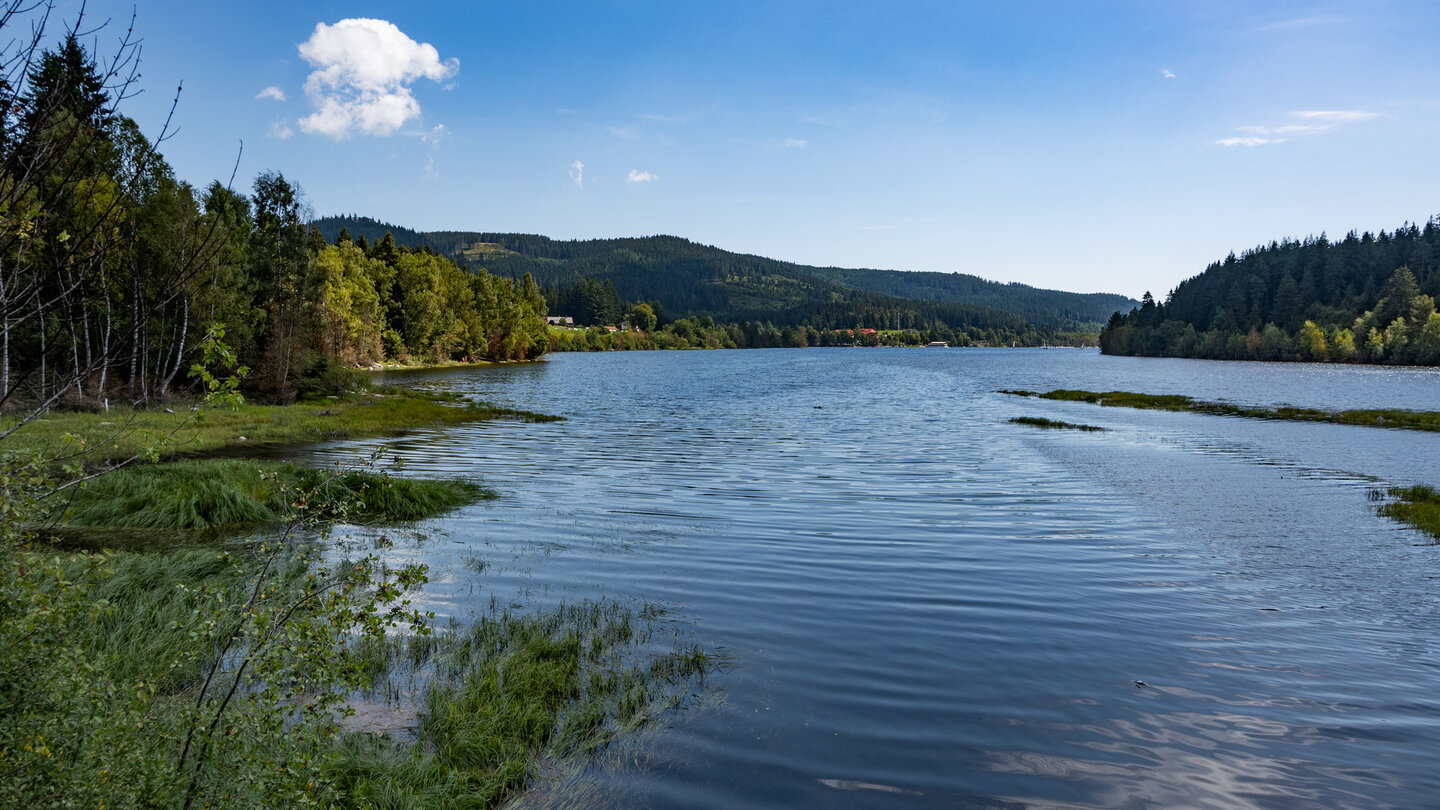 Wanderung entlang des Schluchsee-Uferwegs