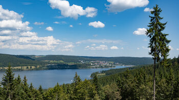 Blick auf den Schluchsee entlang der Wanderroute