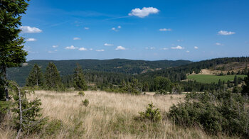 Ausblick vom Wanderweg oberhalb Blasiwald-Althütte