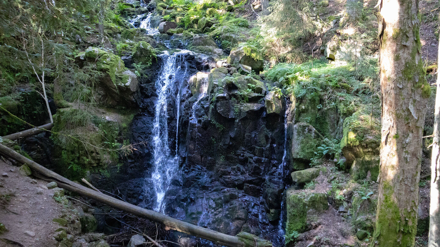 Bachlauf den Windbergbächle in der Windberg-Schlucht