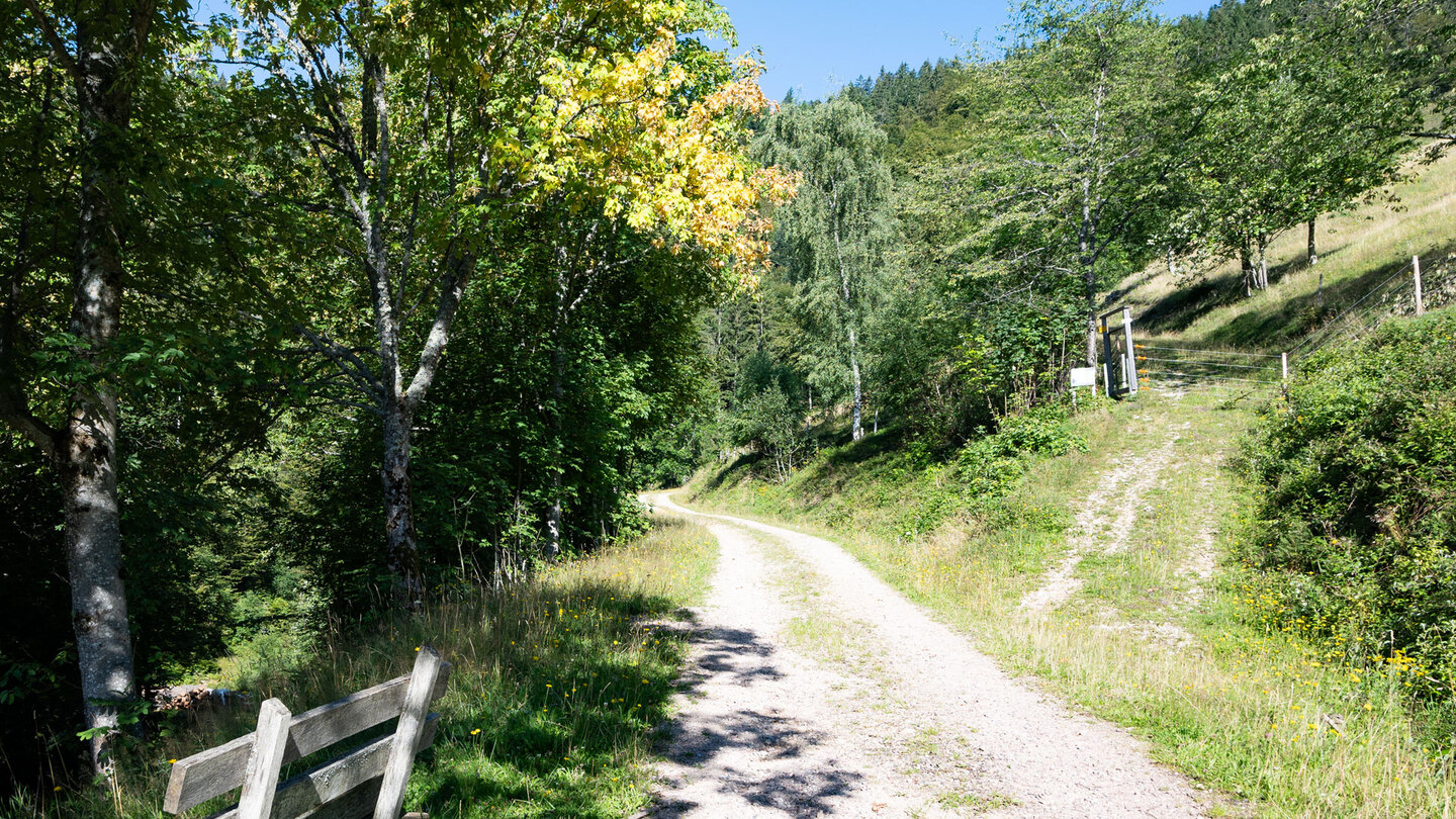 der Westweg oberhalb der Belchenhöfe