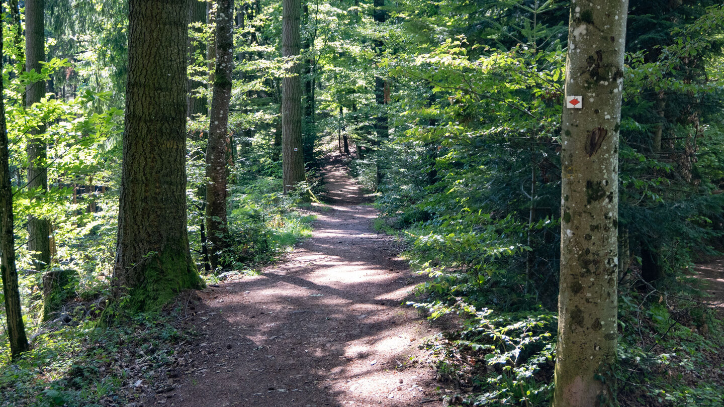 Wanderweg zur Sausenburg