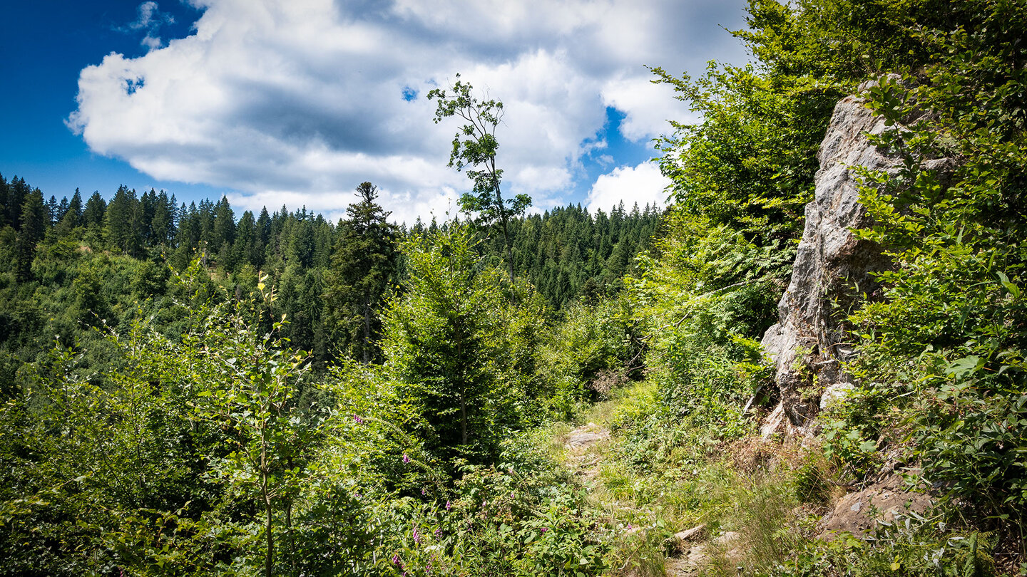 Genießerpfad Turmsteig