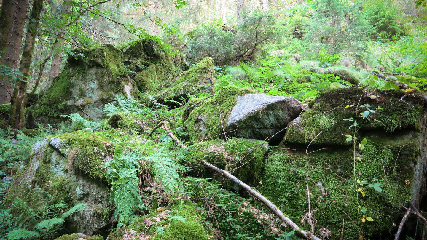 Felsformationen in der Schlucht des Lautenbachs Felsformationen in der Schlucht des Lautenbachs
