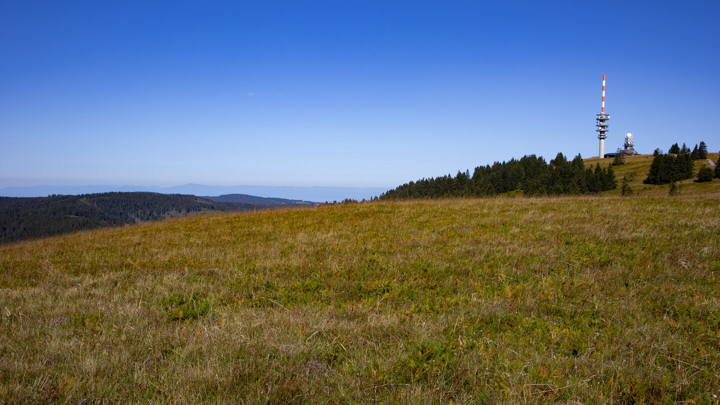 auf dem Feldberg passiert die Route den Sender Feldberg und den Friedrich-Luise-Turm