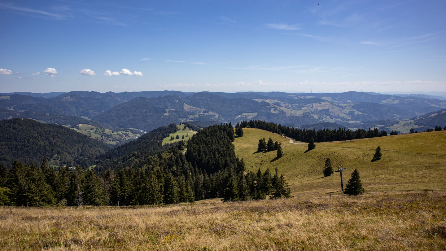 Schwarzwaldpanorama des Hochschwarzwalds vom Belchengipfel